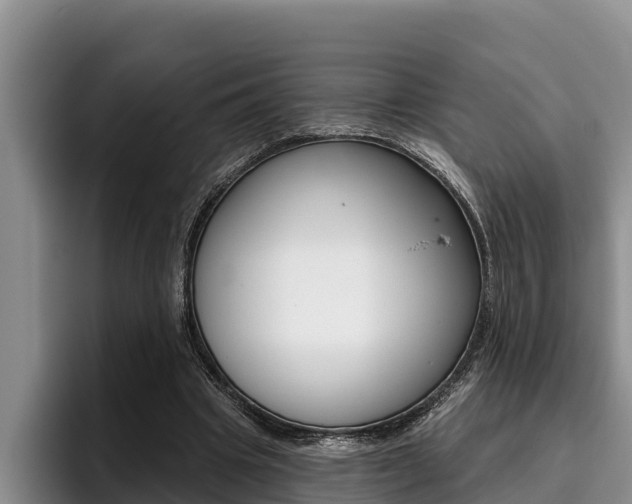 X0000096210441200801181012