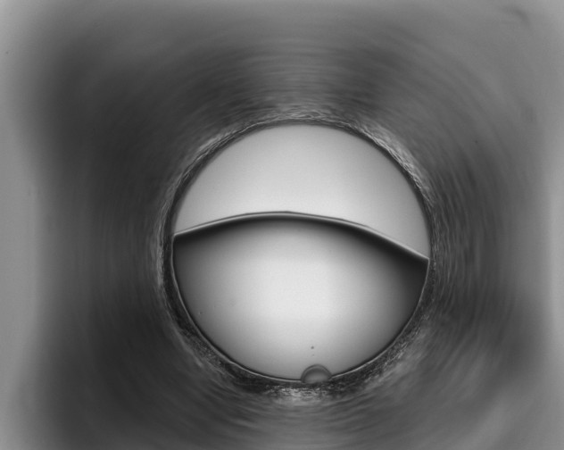 X0000096210442200801181012