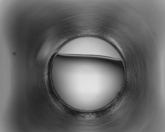 X0000096210443200801181012