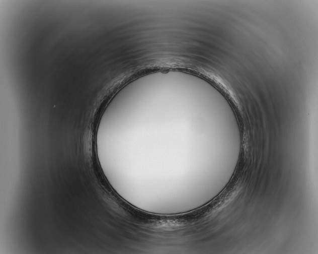 X0000096210445200801181012