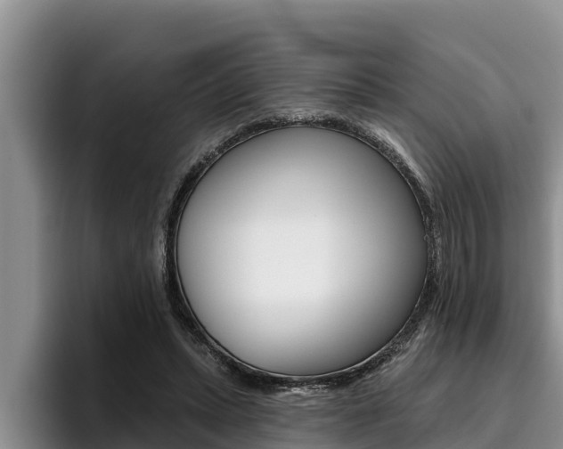 X0000096210447200801181013