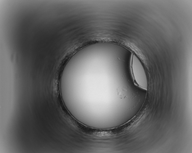 X0000096210449200801181013