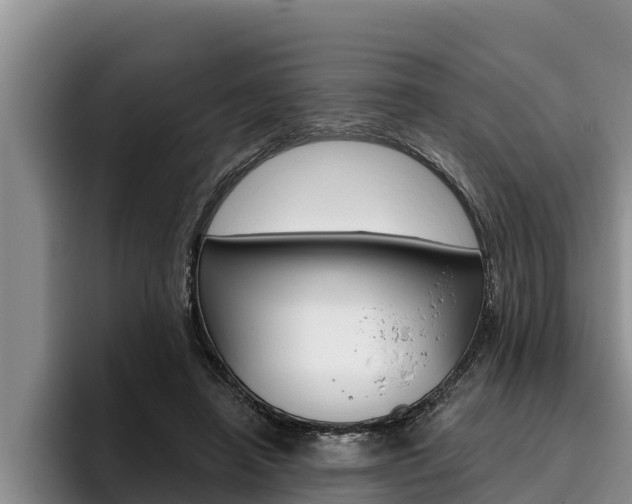 X0000096210450200801181013