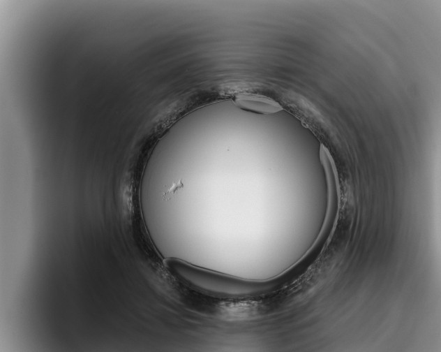 X0000096210452200801181013