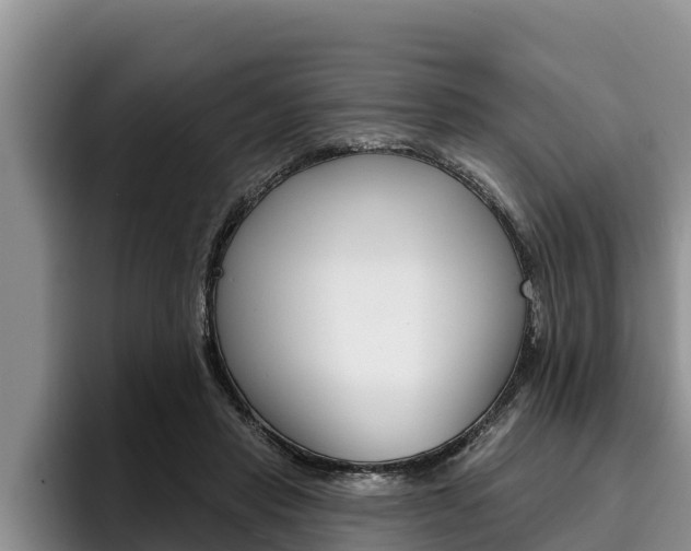 X0000096210453200801181013