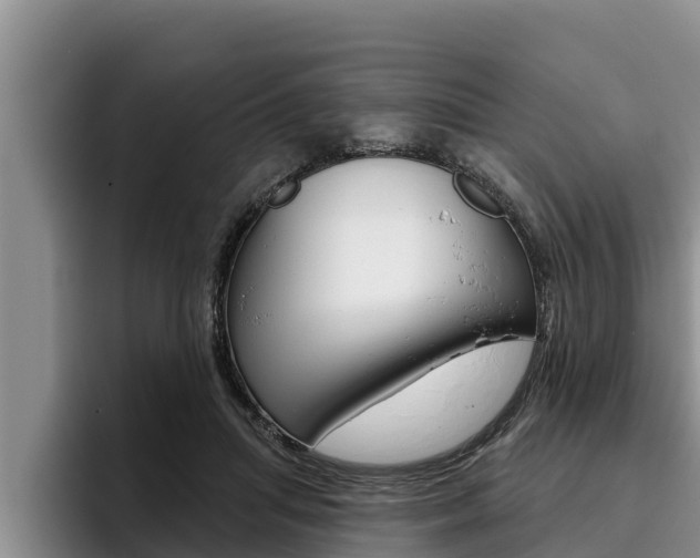 X0000096210455200801181013