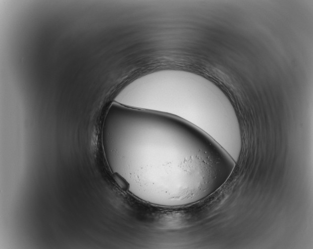 X0000096210456200801181013