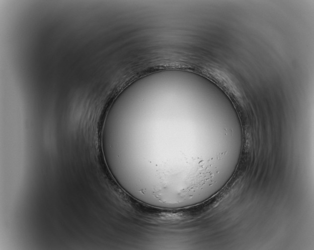 X0000096210457200801181013