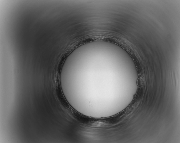 X0000096210460200801181013