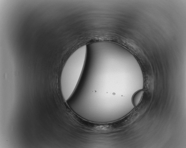 X0000096210461200801181013