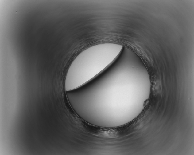 X0000096210466200801181013