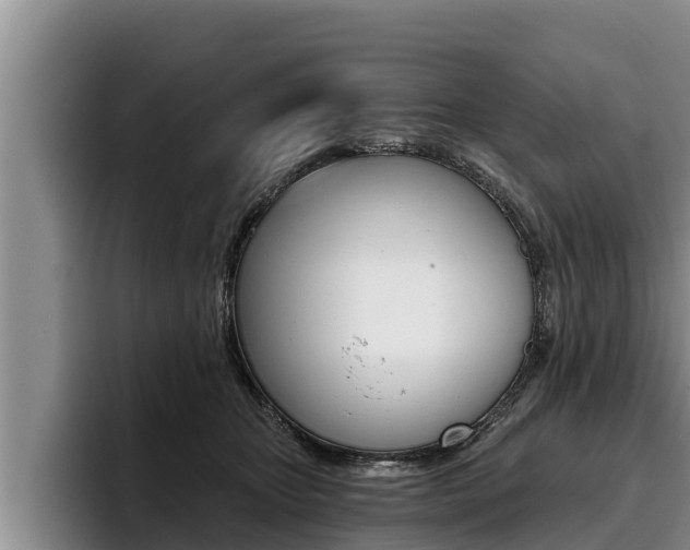 X0000096210467200801181013