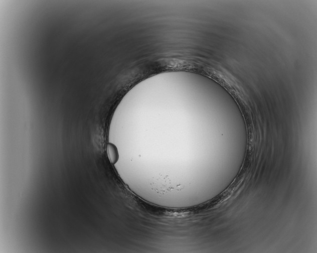 X0000096210469200801181013