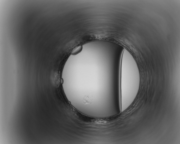 X0000096210471200801181013