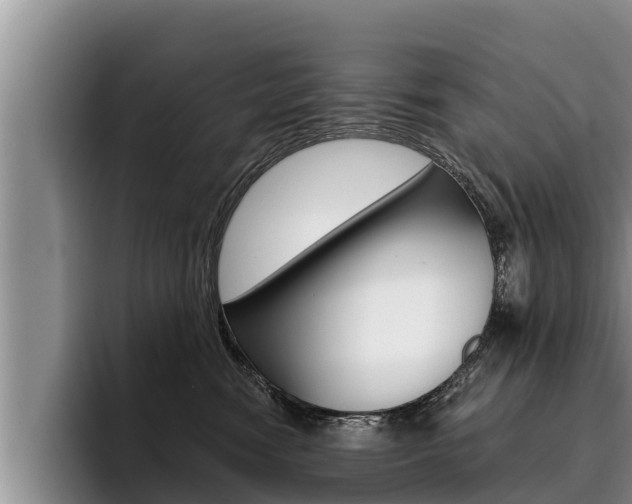 X0000096210474200801181013
