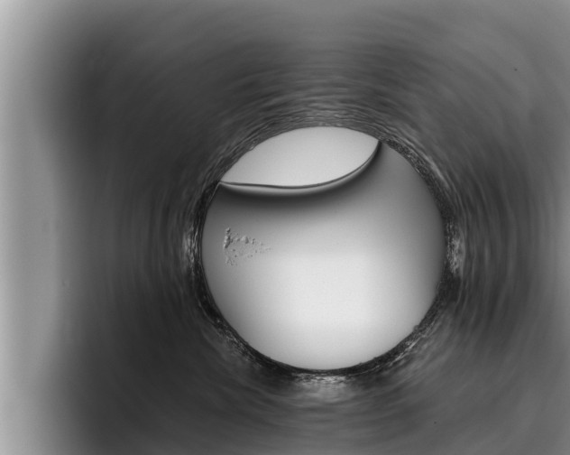 X0000096210476200801181013