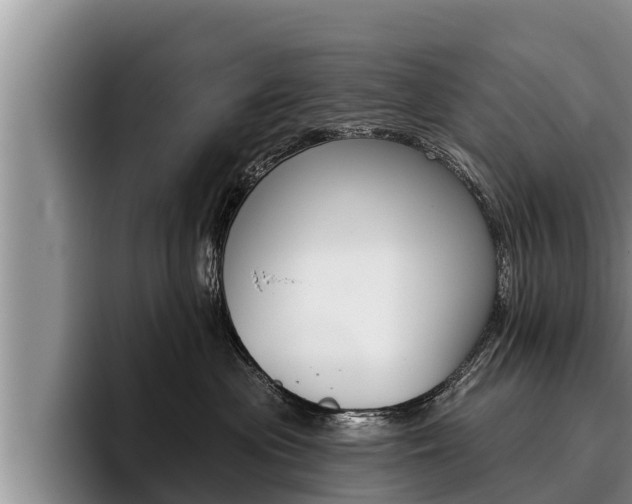 X0000096210477200801181013