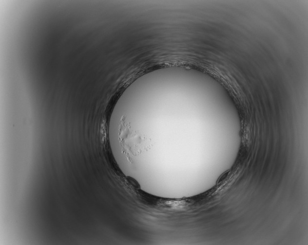 X0000096210478200801181013