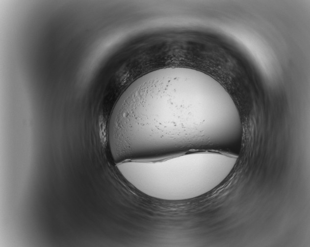 X0000096210479200801181013