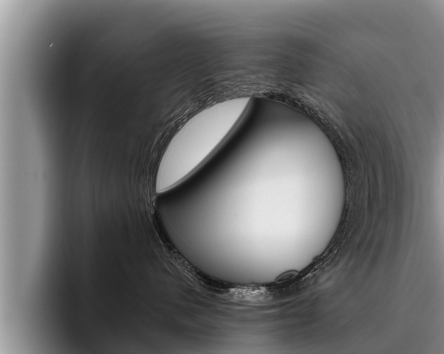 X0000096210480200801181013