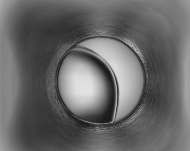 X0000096210481200801181012