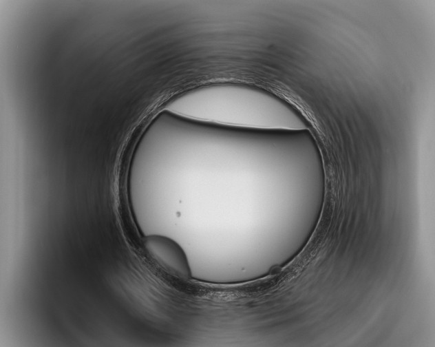 X0000096210482200801181012