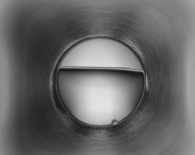 X0000096210483200801181012