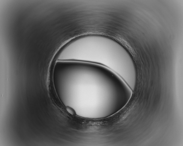 X0000096210484200801181012