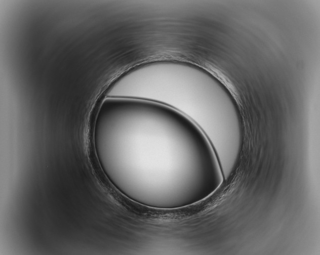 X0000096210485200801181012