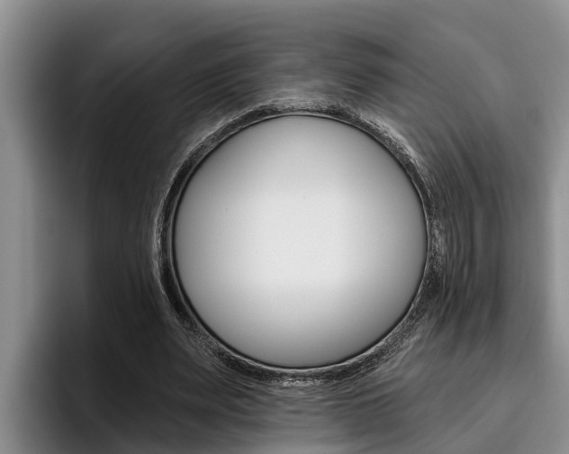 X0000096210487200801181012