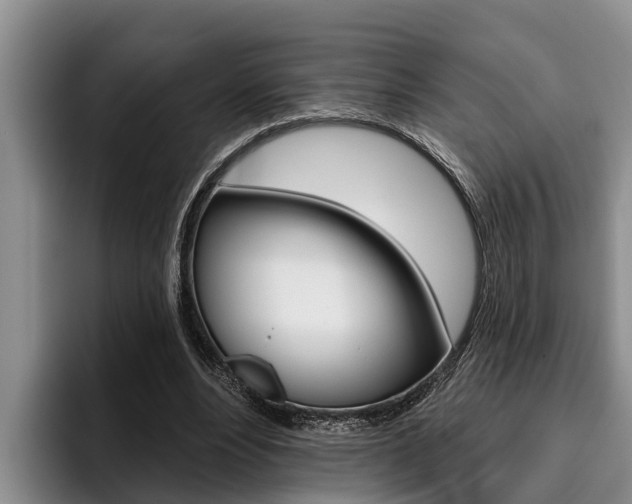 X0000096210488200801181012