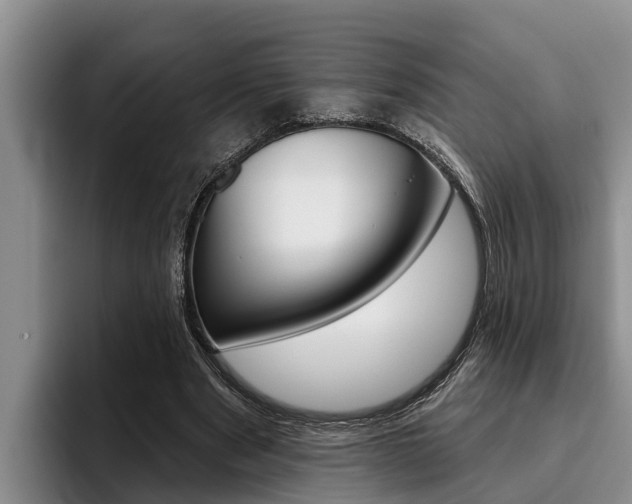 X0000096210489200801181012