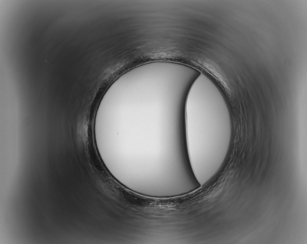 X0000096210491200801181012