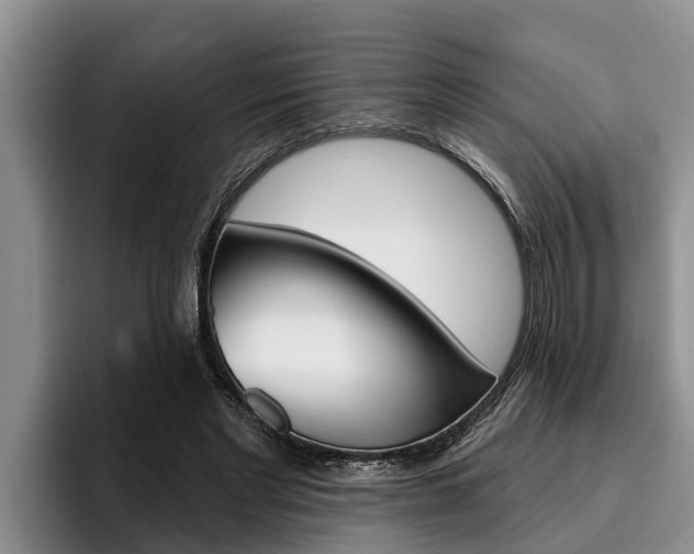 X0000096210493200801181012