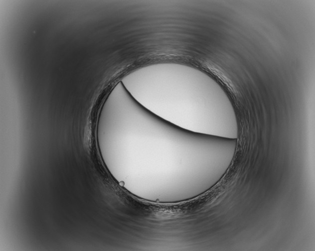 X0000096210494200801181012