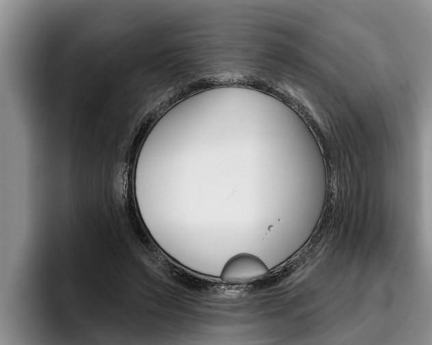 X0000096210495200801181012