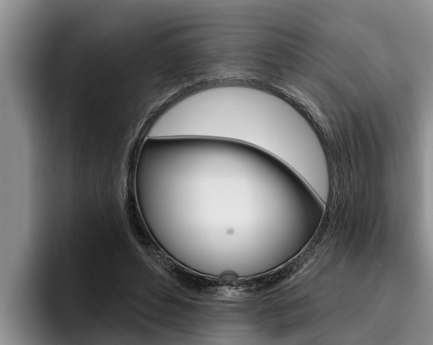 X0000096210496200801181012