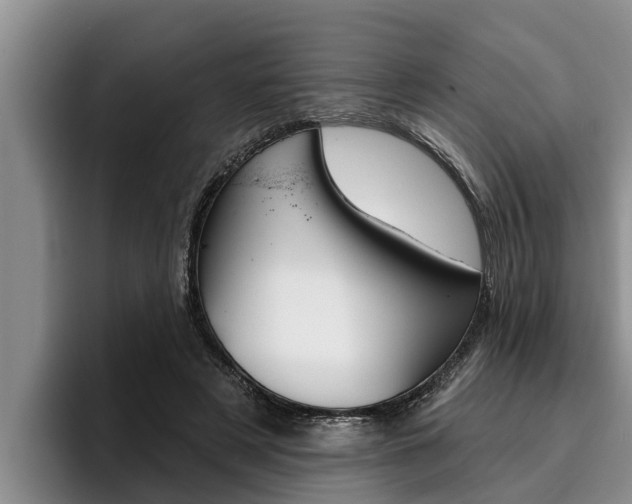 X0000096210497200801181012