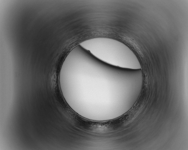 X0000096210498200801181012