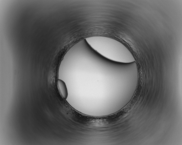 X0000096210499200801181012