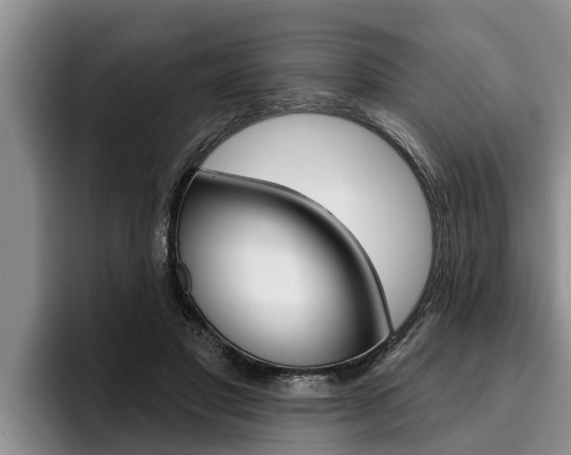 X0000096210501200801181012