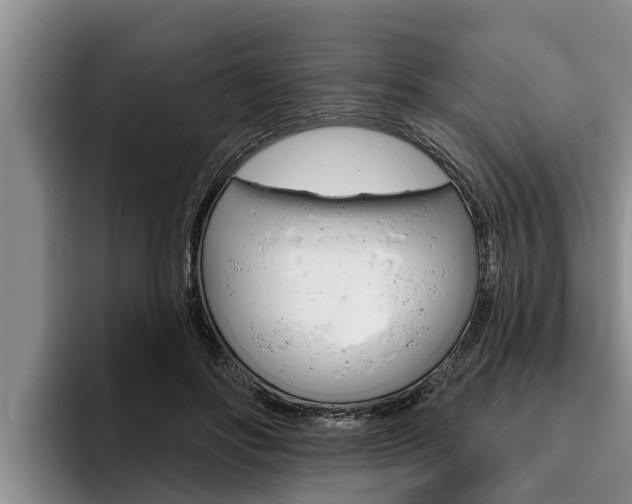 X0000096210502200801181012