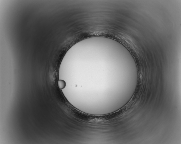 X0000096210503200801181012