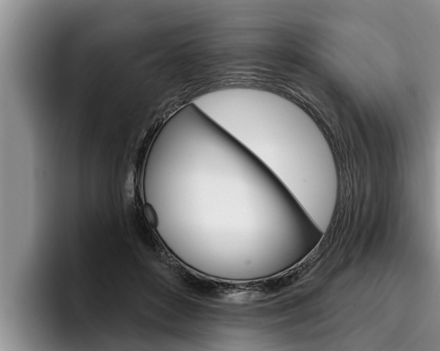 X0000096210504200801181012