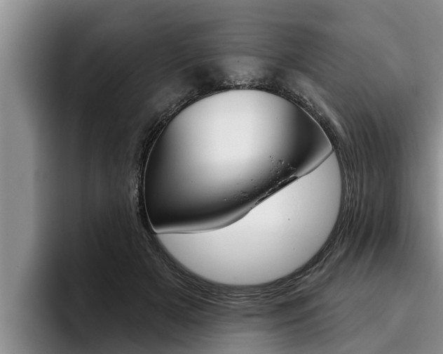 X0000096210505200801181012