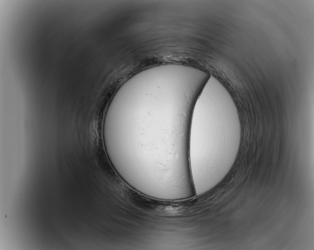 X0000096210506200801181012