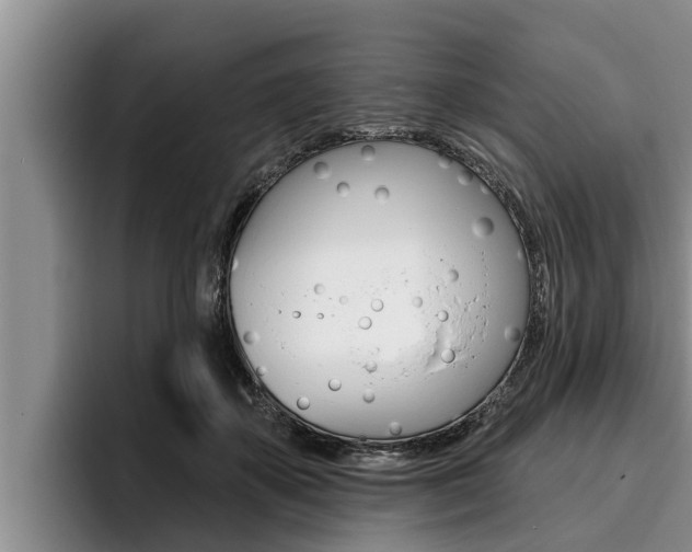 X0000096210507200801181012