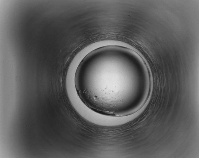 X0000096210508200801181012