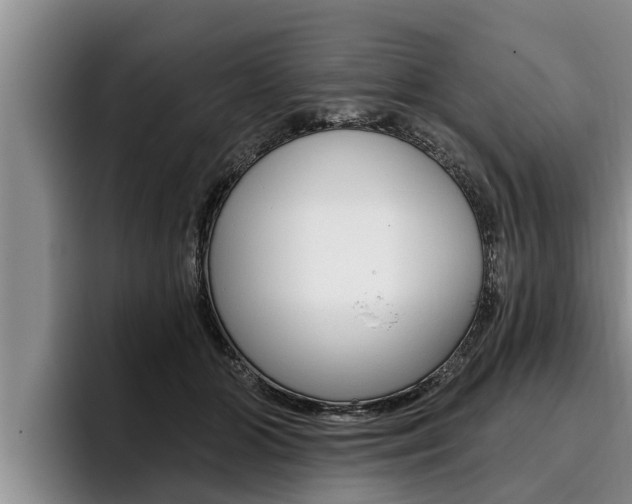 X0000096210510200801181012