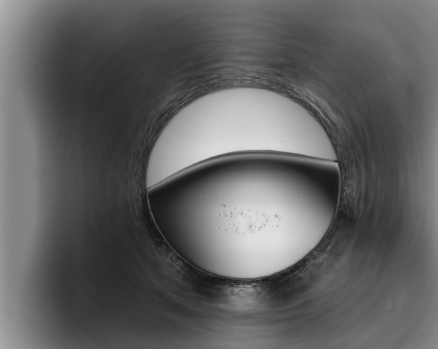 X0000096210513200801181012